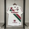Fluminense 24/25