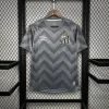 Santos 24/25