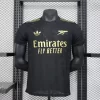 Arsenal 24/25